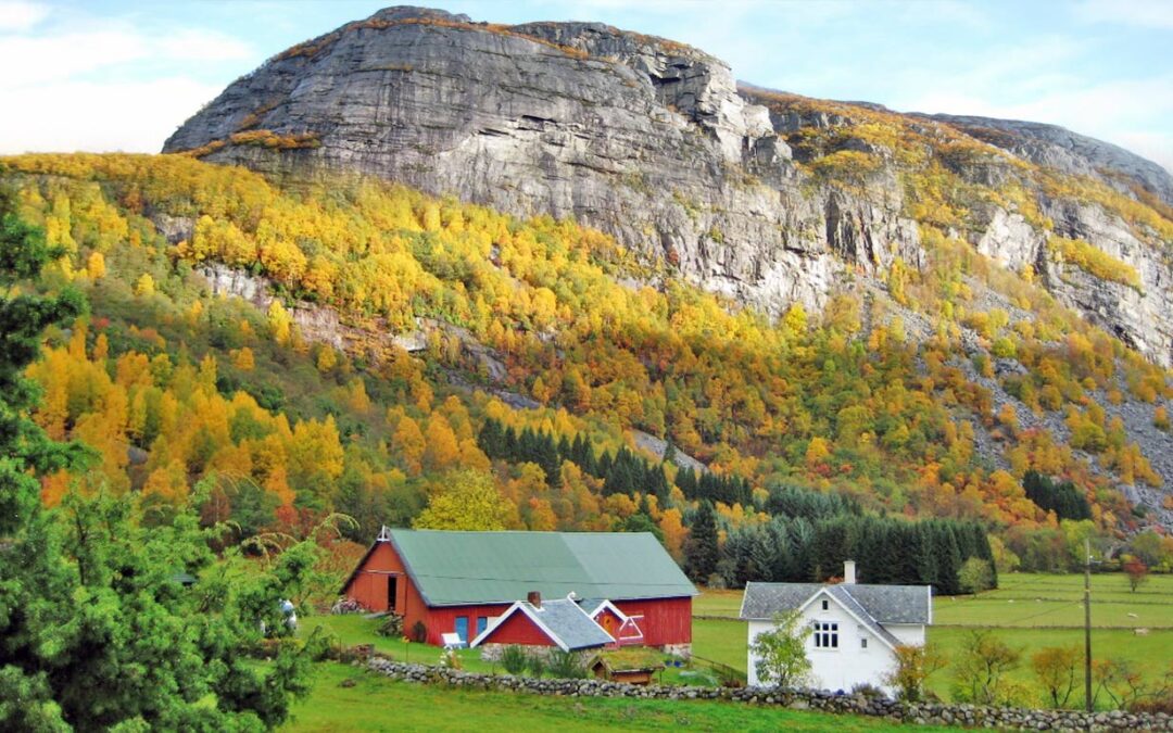 Hauane Bed and Breakfast