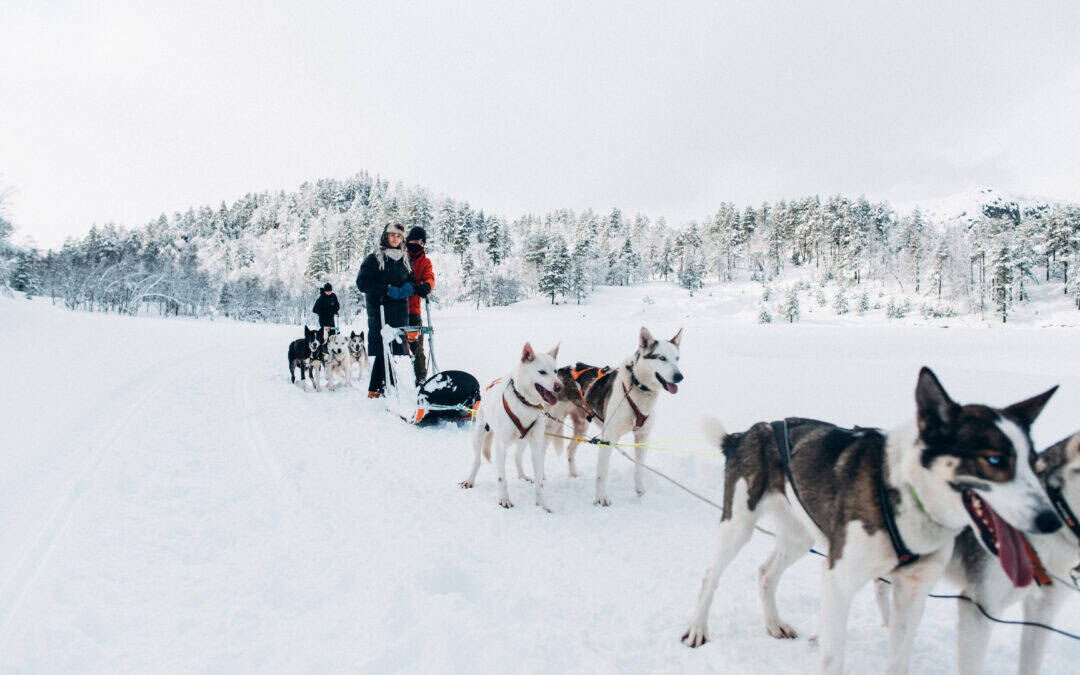 Sirdal Husky Farm