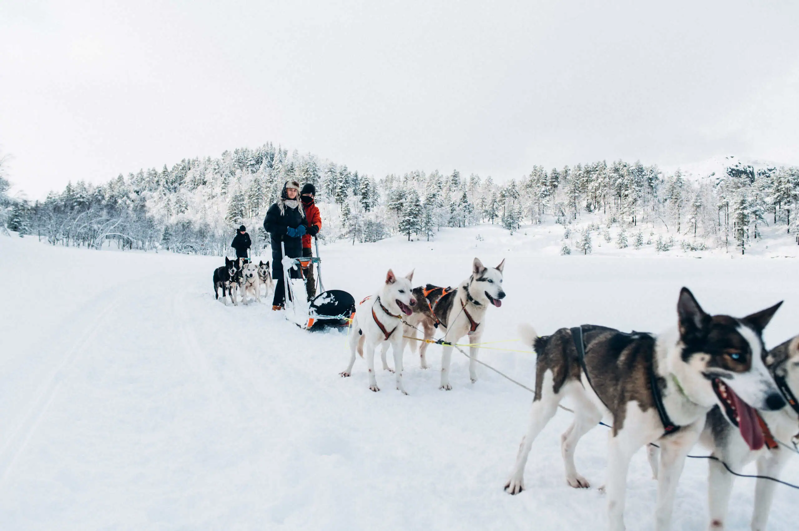 Sirdal Husky Farm
