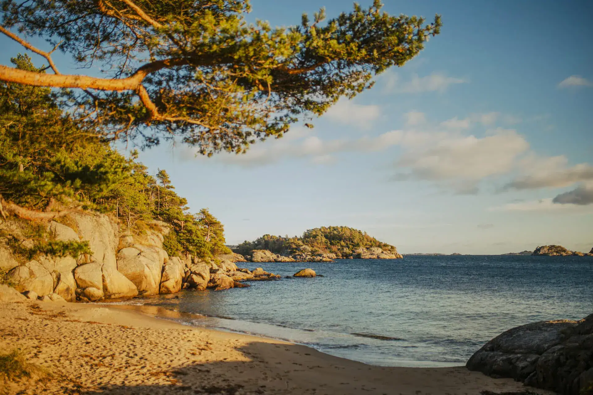 Lysefjorden met klipper, zandstrand en zee, omgitt door de groene trær onder een heldere hemel. Perfect voor natuurwandelingen en fjordcruises in Noorwegen.